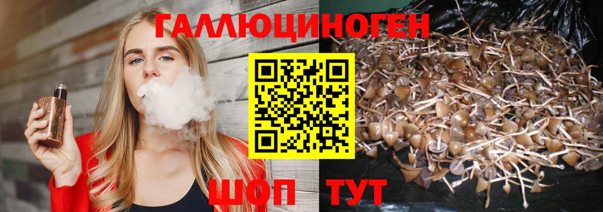 Галлюциногенные грибы ЛСД  Галлюциногенные грибы ЛСД  Вход с VPN  купить наркотик  Новочебоксарск 