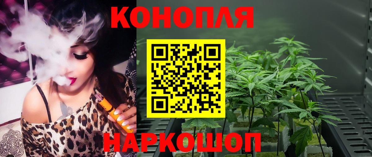 Бошки Шишки Amnesia  Бошки Шишки ГИДРОПОН  Новочебоксарск  Шишки марихуана VHQ  Вход с VPN 